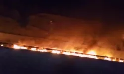 Samsun’da Tır Alev Topuna Döndü: Araçlar Yandı, Orman Kenarı Alev Aldı