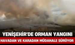 Yenişehir'de Orman Yangını: Havadan ve Karadan Müdahale Sürüyor