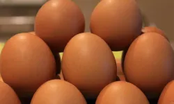 Yumurta Fiyatları Yükselişte: 30’lu Koli 170 Liraya Kadar Çıktı