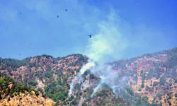 Hatay’daki Orman Yangınında 1.115 Kişi Tahliye Edildi