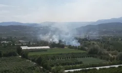 İnegöl Çeltikçi Mahallesi’nde Otluk ve Ağaçlık Alanda Yangın Çıktı