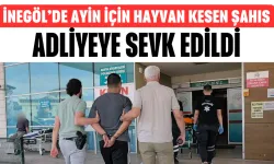 İnegöl’de ayin için hayvan kesen şahıs adliyeye sevk edildi