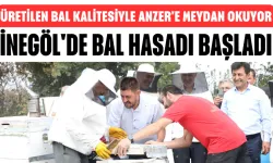 İnegöl'de Bal Hasadı Başladı: Üretilen Bal Kalitesiyle Anzer'e Meydan Okuyor