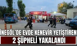 İnegöl’de evde kenevir yetiştiren 2 şüpheli yakalandı