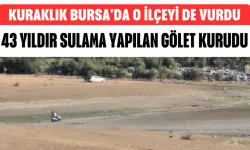 Kuraklık Bursa'da o ilçeyi de vurdu 43 yıldır sulama yapılan gölet kurudu