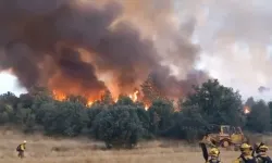Orman Yangınlarında Can Kaybı 3’e Yükseldi