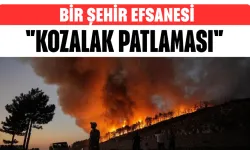 Orman Yangınlarında “Kozalak Patlaması” İddiası Bilimsel Olarak Çürütüldü
