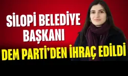 Silopi Belediye Başkanı DEM Parti’den ihraç edildi
