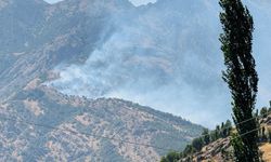 Şırnak'taki orman yangını 9 saatte kontrol altına alındı