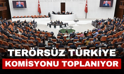 Terörsüz Türkiye komisyonu toplanıyor