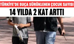 Türkiye'de Suça Sürüklenen Çocuk Sayısı 14 Yılda 2 Kat Arttı