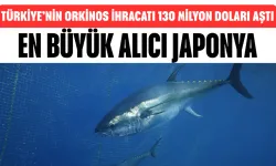 Türkiye’nin Orkinos İhracatı 130 Milyon Doları Aştı! En Büyük Alıcı Japonya