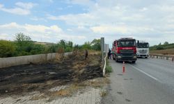 İnegöl D200 Karayolu Kenarında Otluk Yangını Korkuttu