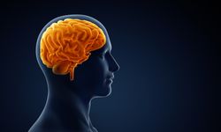 Günlük Yaşamda Küçük Değişiklikler Alzheimer Belirtisi Olabilir