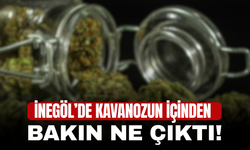 İnegöl’de kavanozun içinden bakın ne çıktı!