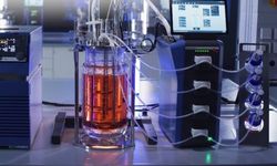 Rekombinant DNA Teknolojisi Nedir? Rekombinant DNA Teknolojisini Kim Keşfet?