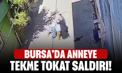 Bursa’da anneye tekme tokat saldırı! O anlar kamerada