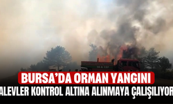 Bursa’da orman yangını! Alevler kontrol altına alınmaya çalışılıyor