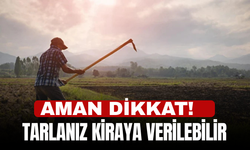 Aman dikkat! Tarlanız kiraya verilebilir