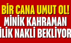 Bir Cana Umut Ol: Minik Kahraman İlik Nakli Bekliyor