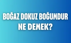 Boğaz Dokuz Boğumdur Ne Demek? Bu Atasözünün Anlamı ve Hayatımıza Katkısı Nedir?
