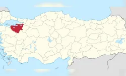 Bursa'nın O İlçesinde 2 Tarım Arazisi İcradan Satışa Çıkıyor