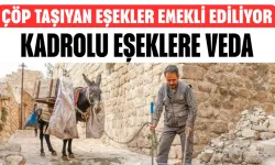 Kadrolu Eşeklere Veda! Çöp Taşıyan Eşekler Emekli Ediliyor