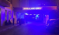 Koyun otlatan çoban yıldırım çarpması sonucu hayatını kaybetti