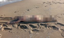 Sahilde çırılçıplak erkek cesedi bulundu