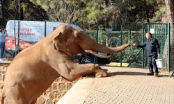 Türkiye'nin en büyük hayvanat bahçesi kışa hazır