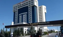 Tarım ve Orman Bakanlığı 200 sözleşmeli personel alacak