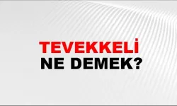 Tevekkeli Ne Demek? Günlük Hayatta Nasıl Kullanılır, Kökeni Nedir ve Hangi Durumlarda Söylenir?