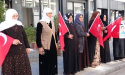 Vanlı annelerin evlat nöbeti 110'uncu haftasında