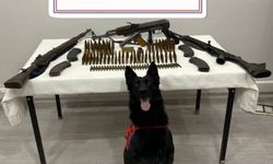 Mardin'de çok sayıda kaçak silah ve mühimmat ele geçirildi