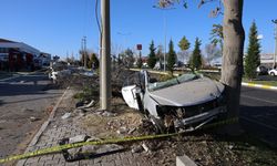 Ağaca çarpan otomobil ikiye bölündü