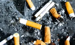 Berlin’de izmariti yere atmanın cezası 3 bin avro