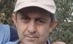 Bolu’da ağacın altında kalan vatandaş hayatını kaybetti