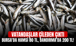 Bursa'da Hamsi 80 TL, Bandırma'da 200 TL! Vatandaşlar Çileden Çıktı...