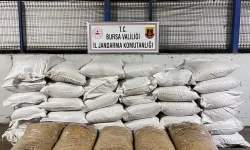 Bursa’da Kaçak Tütün Operasyonu: 2 Şüpheli Gözaltında