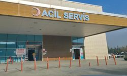 Bursa'nın Gururu Muhammed Emir Kurtulan'dan 4 Avrupa şampiyonluğu