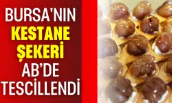 Bursa'nın Kestane Şekeri AB’de Tescillendi