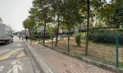 Çöp kamyonunun çarptığı belediye işçisi hayatını kaybetti