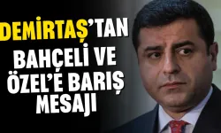 Demirtaş’tan Bahçeli ve Özel’e barış mesajı