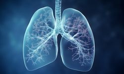 12 Kasım Ne Günü? 12 Kasım Dünyada ve Türkiye’de Ne Günü? 12 Kasım Günü Ne Burcu?