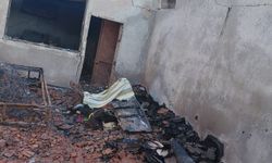 Evde çıkan yangında hayatını kaybetti, 20'den fazla kedi de telef oldu
