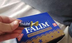 Falım Sakız Boykot Mu? Falım Kimin, Hangi Ülkeye Ait ve Gerçekten Boykot Ediliyor Mu?