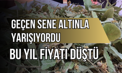 Geçen sene altınla yarışıyordu, bu yıl fiyatı düştü