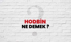 Hodbin Ne Demek? Hodbin Kelimesinin Kökeni ve Anlamı Nedir?