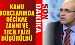 Kamu borçlarında gecikme zammı ve tecil faizi düşürüldü