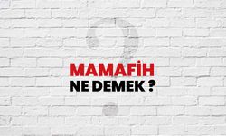 Mamafih Ne Demek? Ne Anlama Geliyor ve Nerelerde Kullanılır?